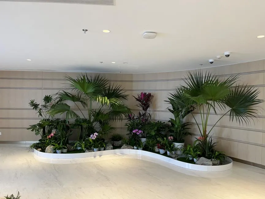 宁波镇海盆景租摆